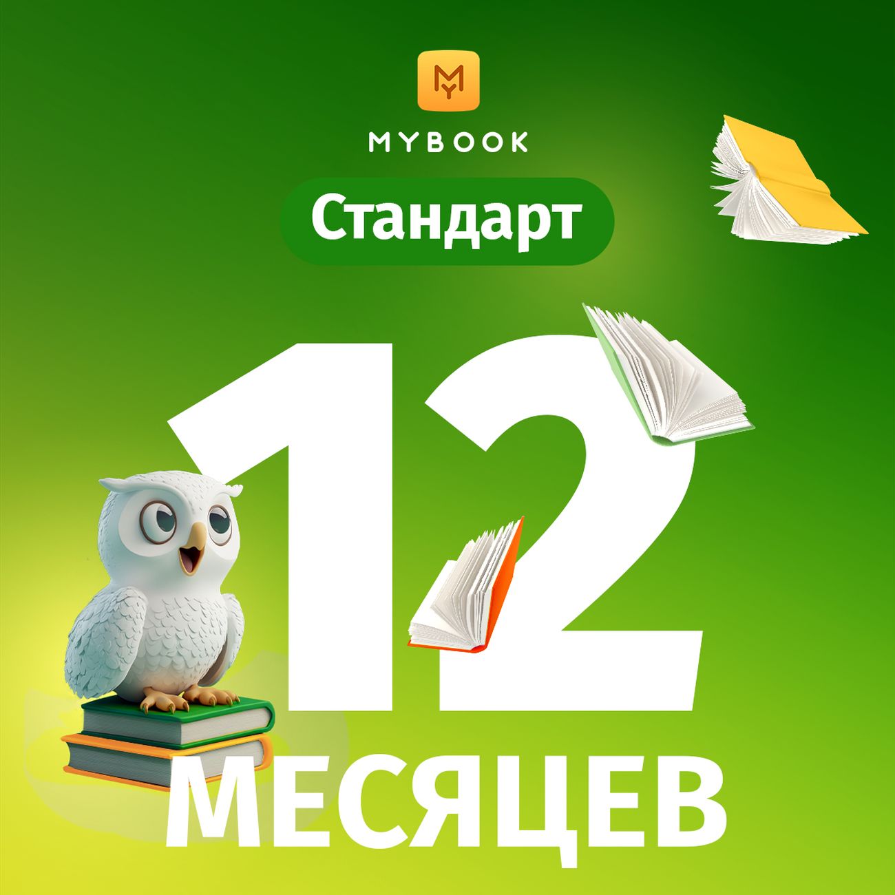 Подписка на книги Mybook Стандарт - 12 месяцев