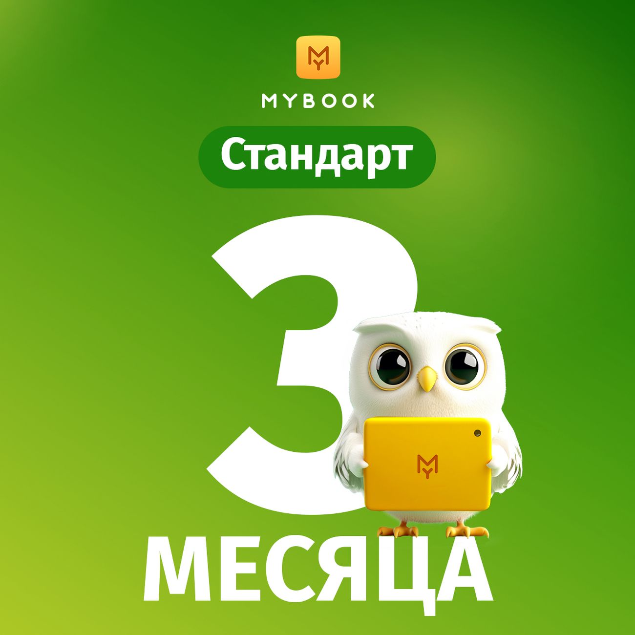 Подписка на книги Mybook Стандарт - 3 месяца фото