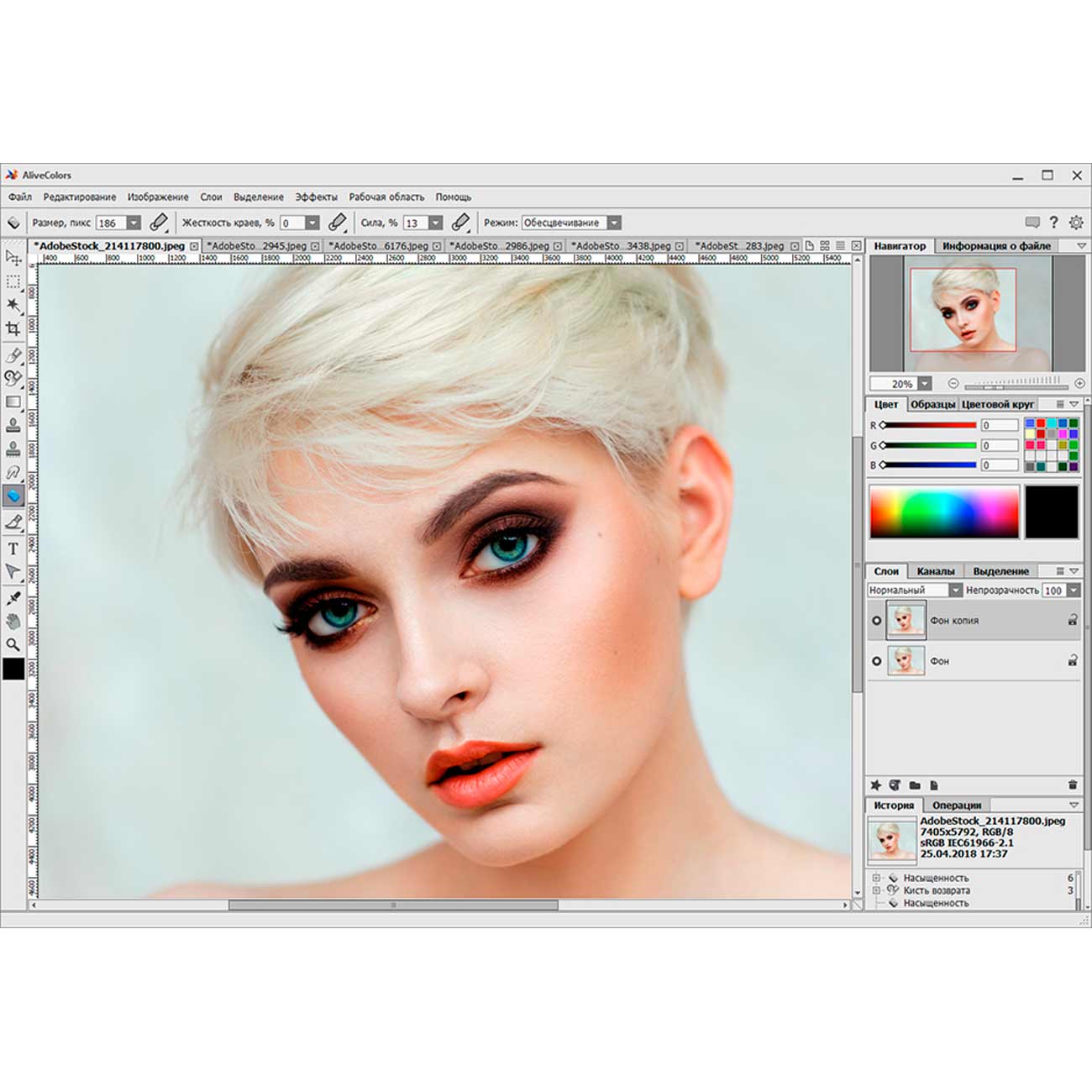 Пакет для Хобби . AliveColors Home