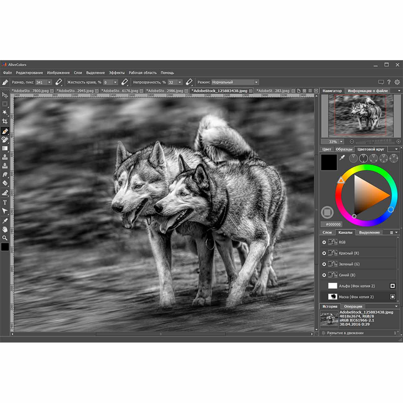 Пакет для Хобби . AliveColors Home