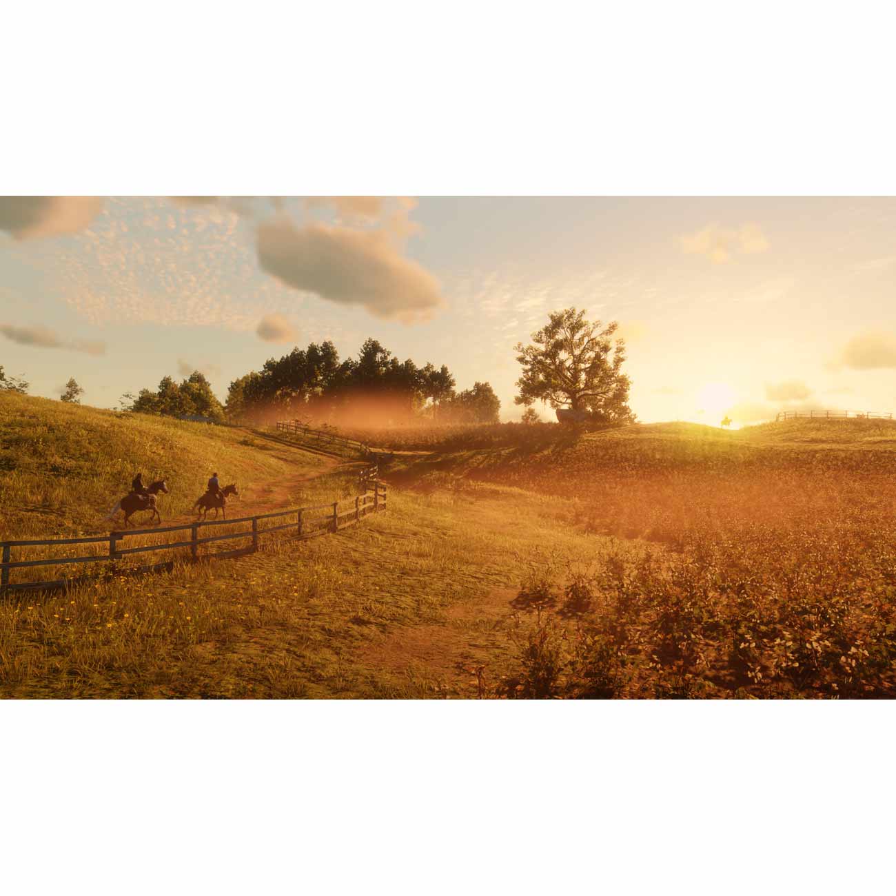 Цифровая версия игры PC Take-Two Red Dead Redemption 2