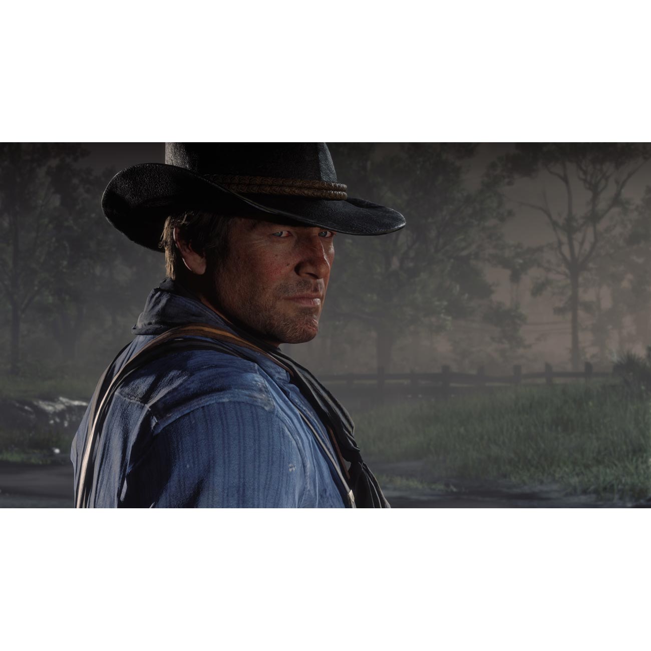 Цифровая версия игры PC Take-Two Red Dead Redemption 2