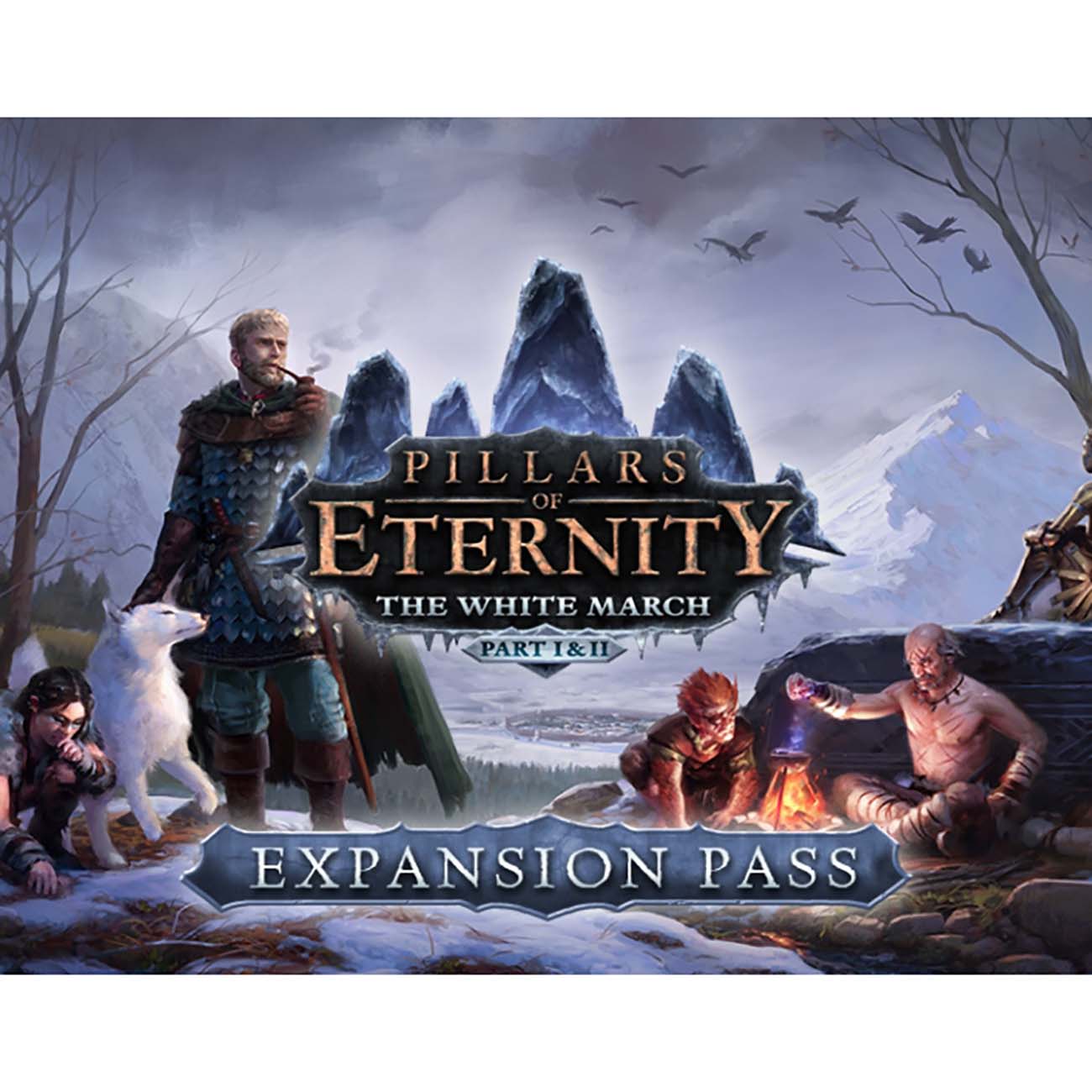 Дополнение для игры PC Paradox Interactive Pillars of Eternity - The White March Expansion P