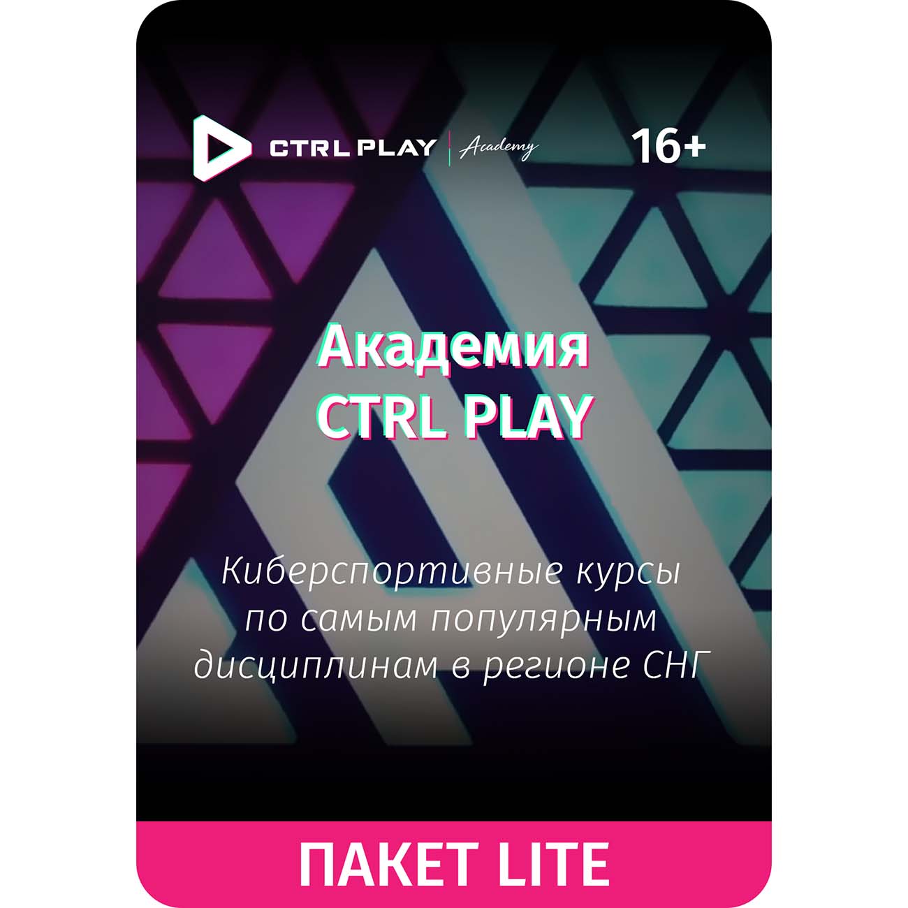 Цифровой сервис геймера CTRL PLAY Курс Lite в Академии CTRL PLAY