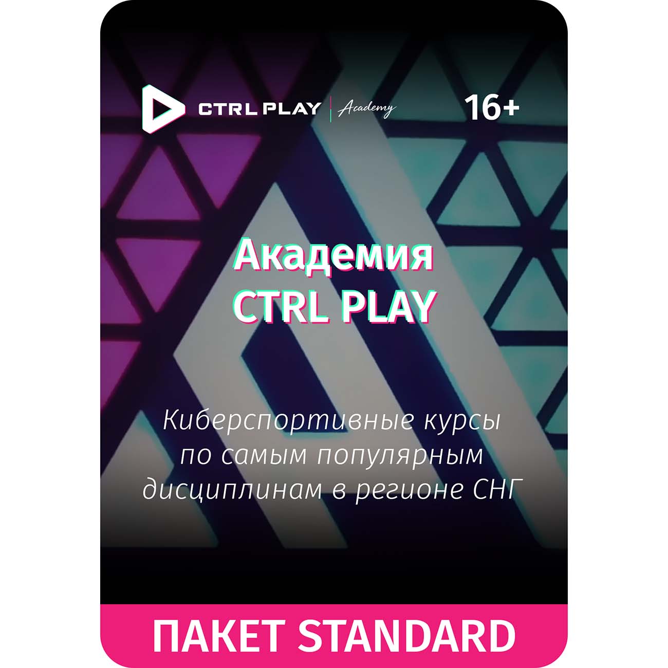 Цифровой сервис геймера CTRL PLAY Курс Standart в Академии CTRL PLAY