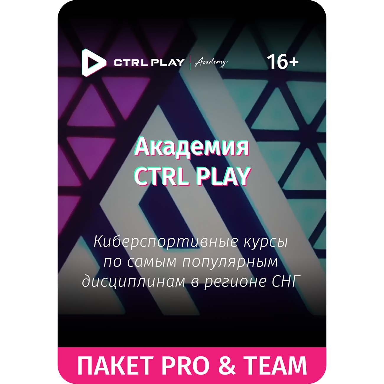Цифровой сервис геймера CTRL PLAY Курс PRO в Академии CTRL PLAY