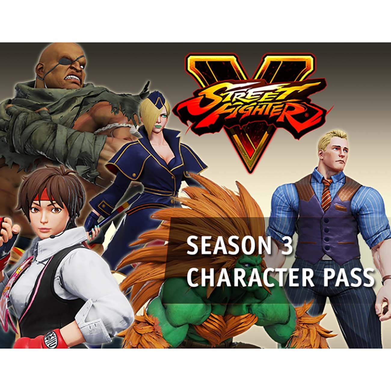Дополнение для игры PC Capcom Street Fighter V - Season 3 Character Pass