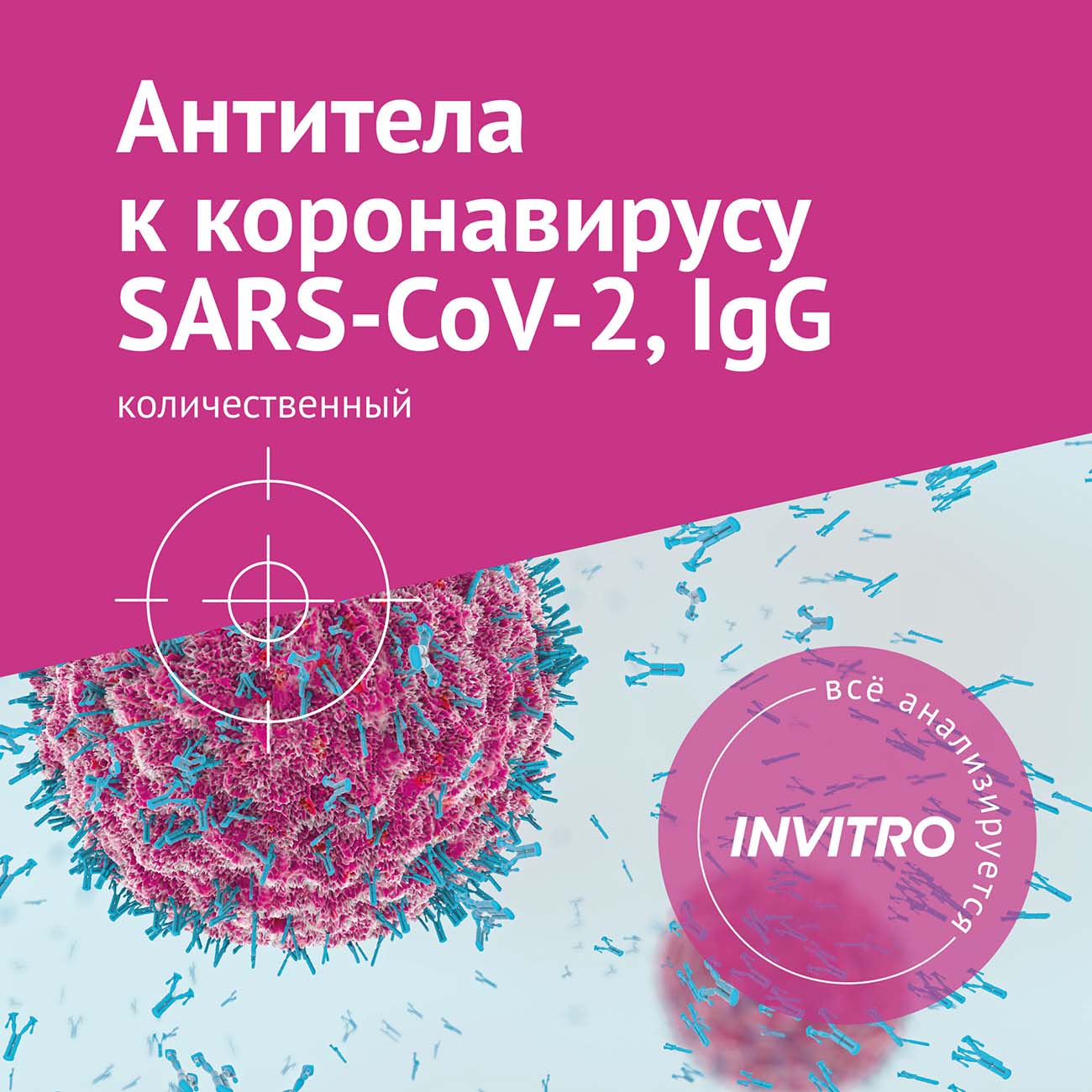Обследование Инвитро "Антитела&nbsp;к&nbsp;SARS-COV-2,IgG (количество)" фото