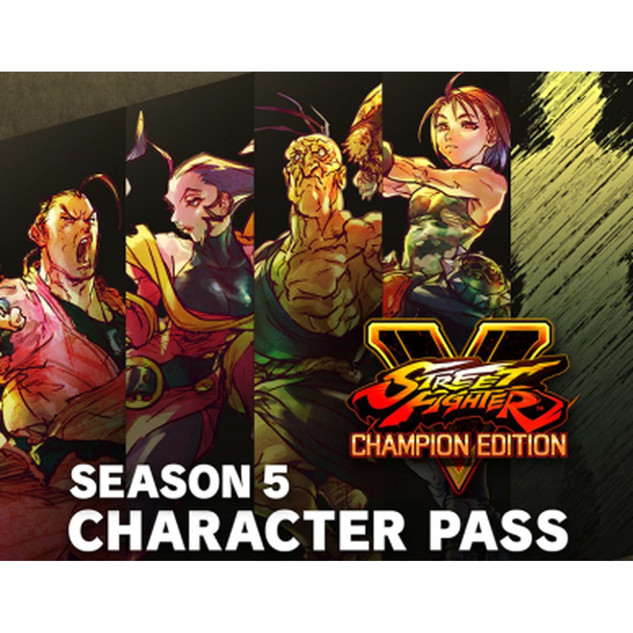 Дополнение для игры PC Capcom Street Fighter V - Season 5 Character Pass