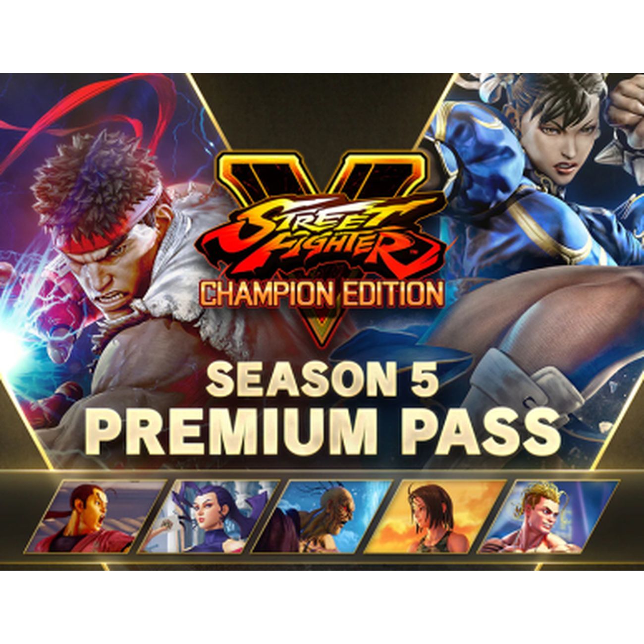 Дополнение для игры PC Capcom Street Fighter V - Season 5 Premium Pass