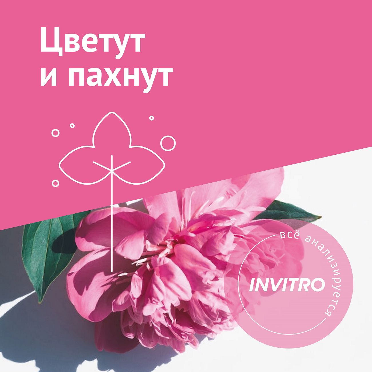 Обследование Инвитро "Цветут и пахнут" фото