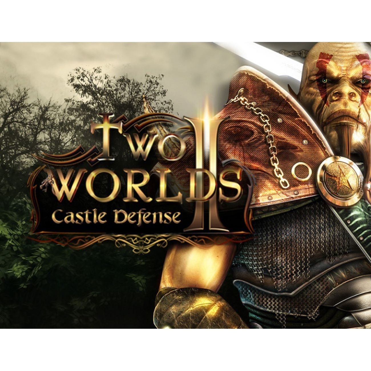 Цифровая версия игры PC Topware Interactive Two Worlds II : Castle Defense фото