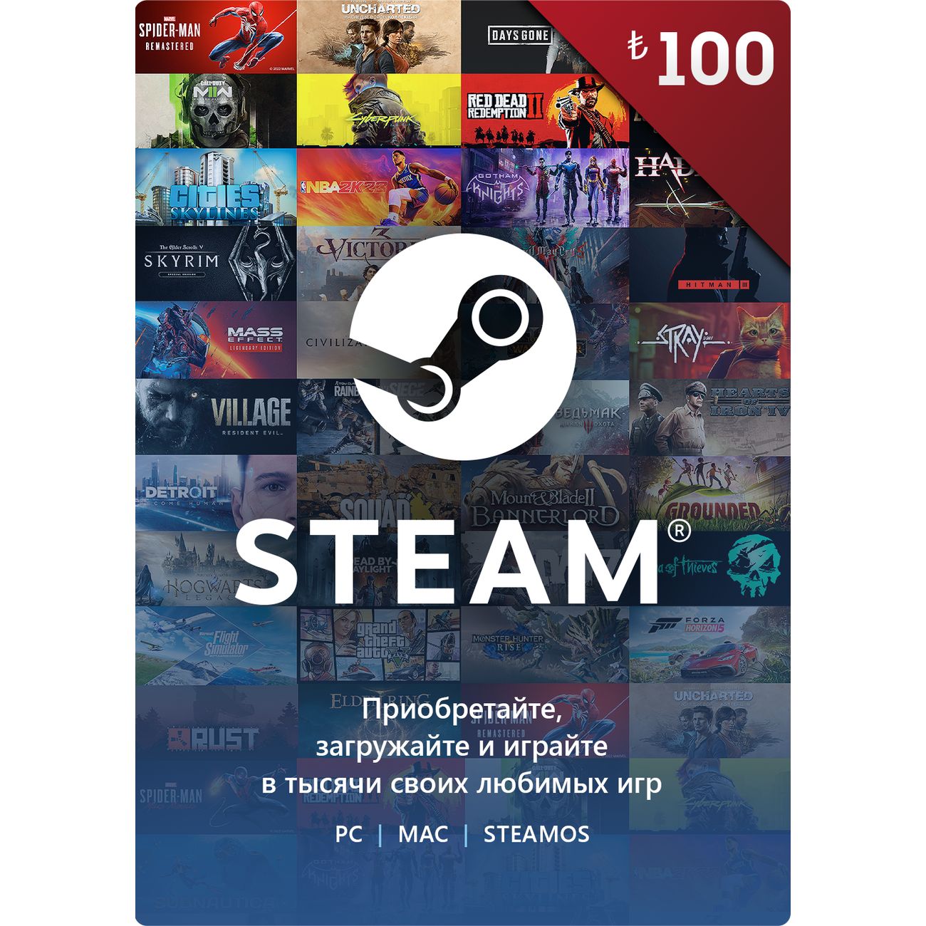 Игровая валюта PC Steam Wallet Карта оплаты 100 TL Turkey [Цифровая версия]