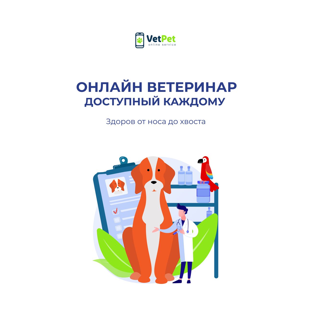 Цифровой сервис онлайн медицина Millenial group Консультации врача ветеринара VETPET