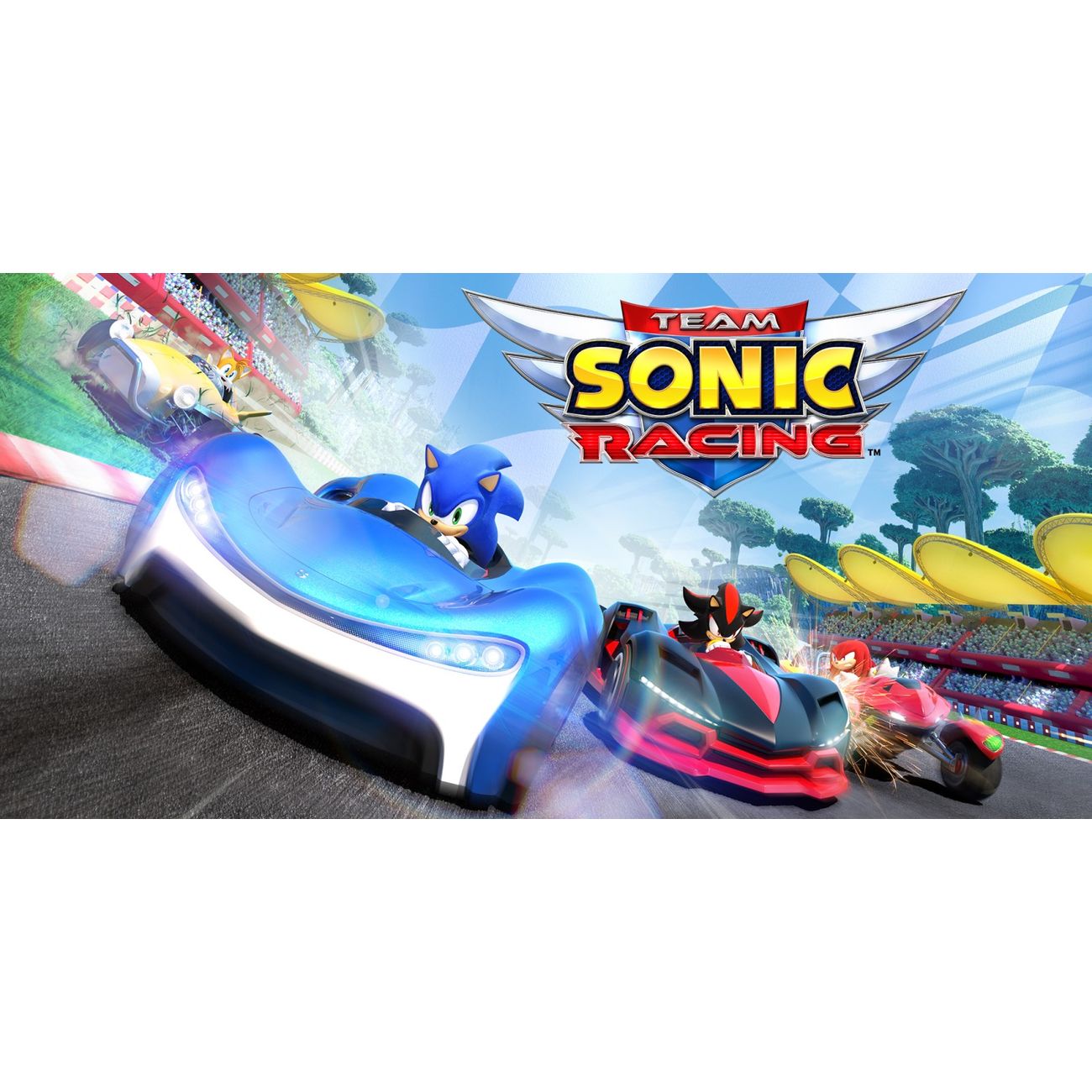 Цифровая версия игры Nintendo Team Sonic Racing фото