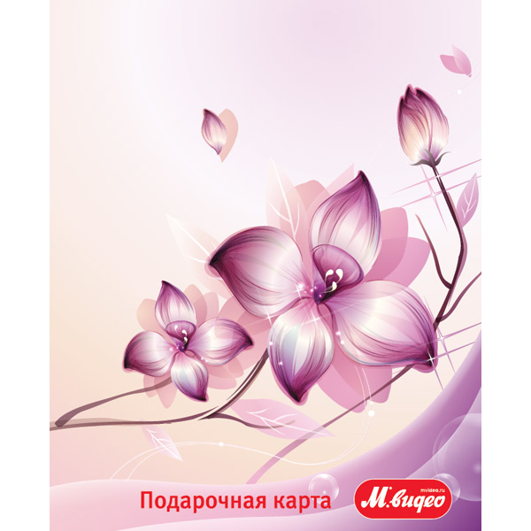 Подарочная карта . Фиолетовые цветы