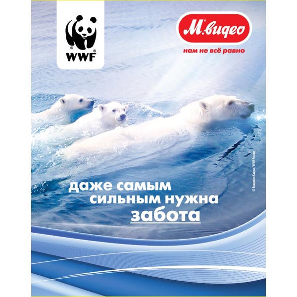 Подарочная карта . Мишки