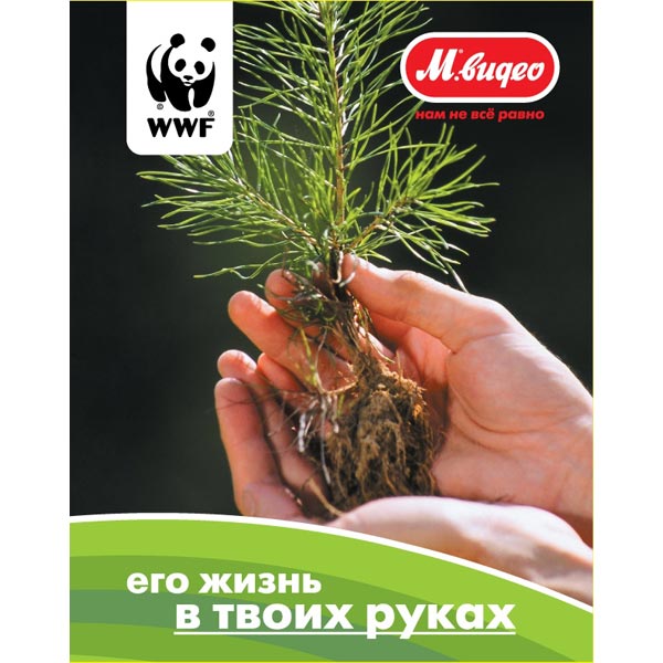 Подарочная карта . Лес