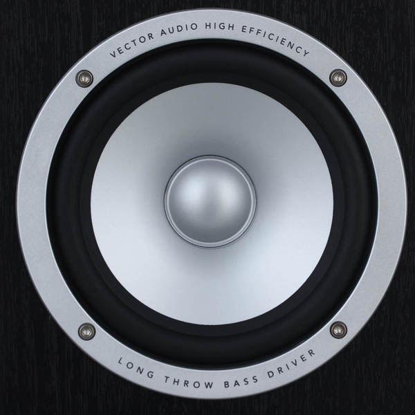 Полочные колонки Vector HX210