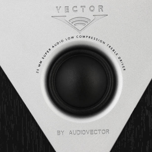 Полочные колонки Vector HX210