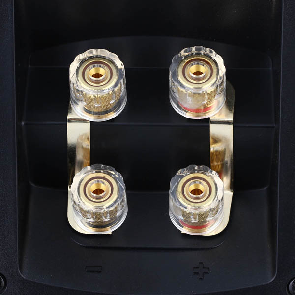 Полочные колонки Vector HX210