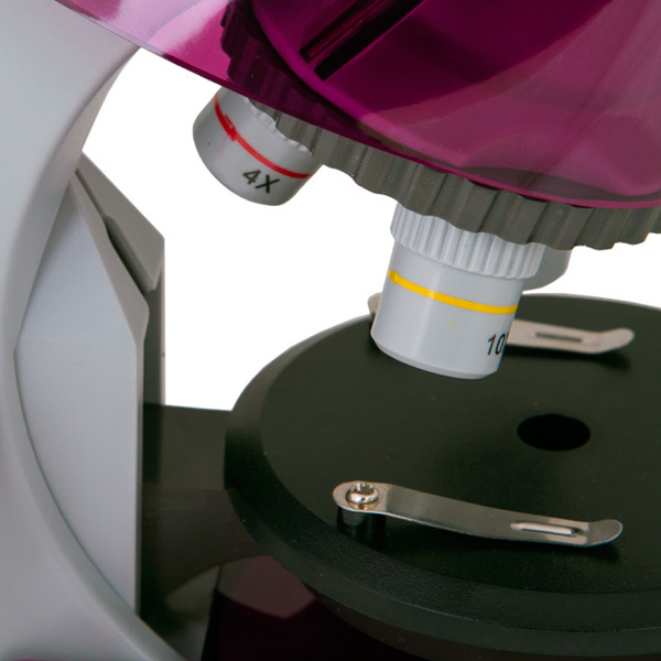 Микроскоп Levenhuk LabZZ M101 Amethyst