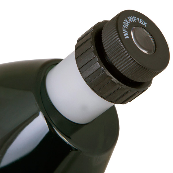 Микроскоп Levenhuk LabZZ M101 Moonstone