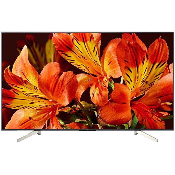 Телевизор Sony KD-75XF8596 фото
