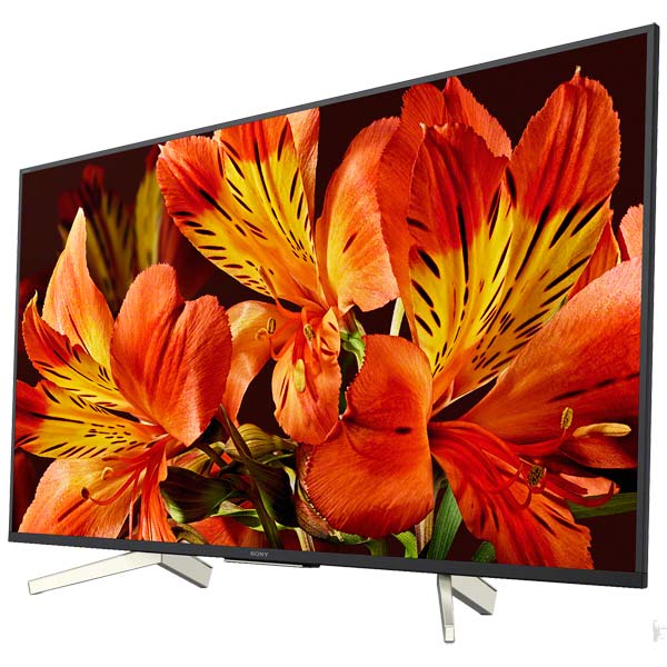 Телевизор Sony KD-55XF8596