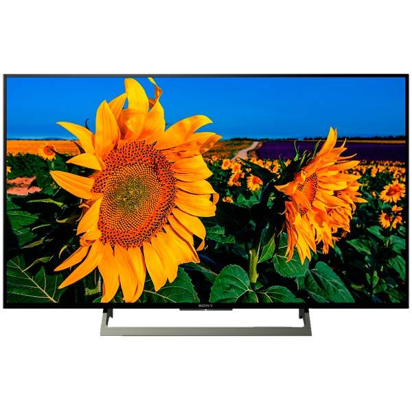 Телевизор Sony KD-49XF8096 фото