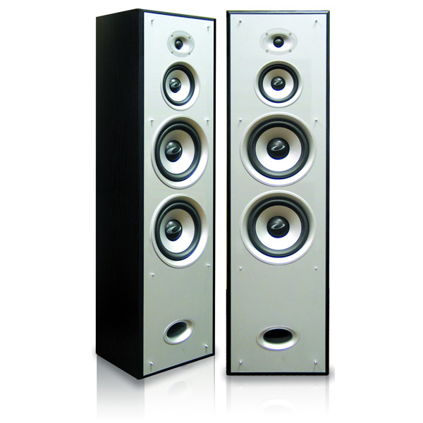 Напольные колонки Ultimate PT1003 Black