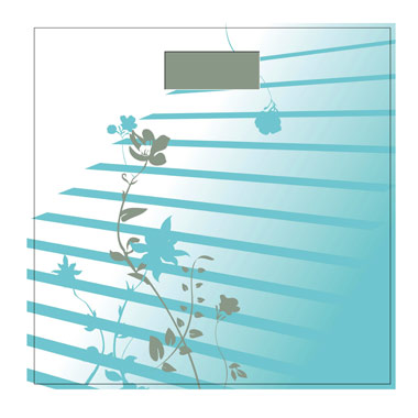 Весы напольные Terraillon Mely