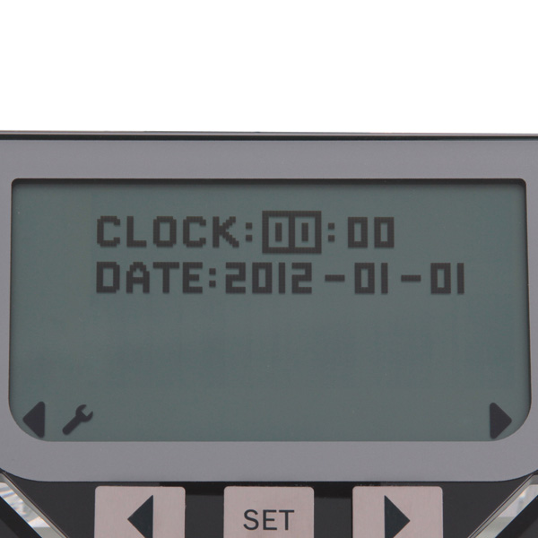 Весы напольные Bosch PPW7170