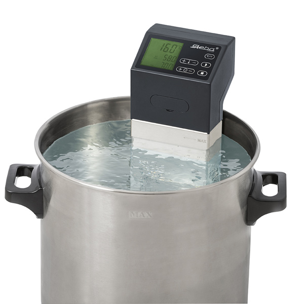 Су-вид Steba SV 100