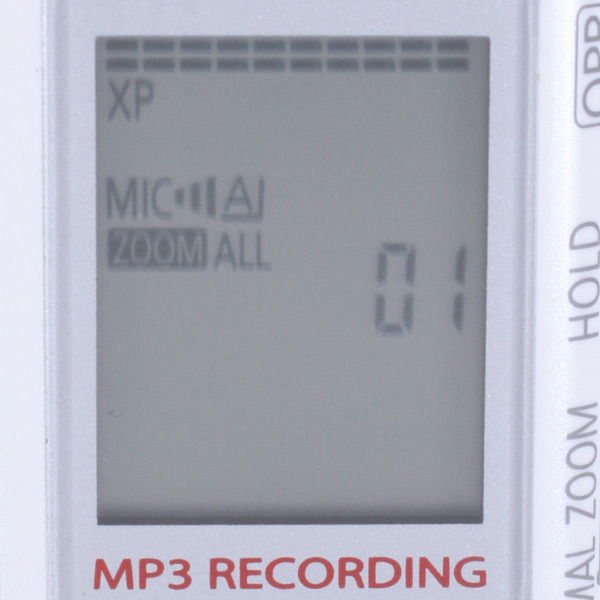 Диктофон цифровой Panasonic RR-US570E-K