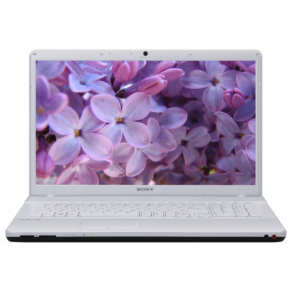 Ноутбук Sony VPC-EC1M1R /WI