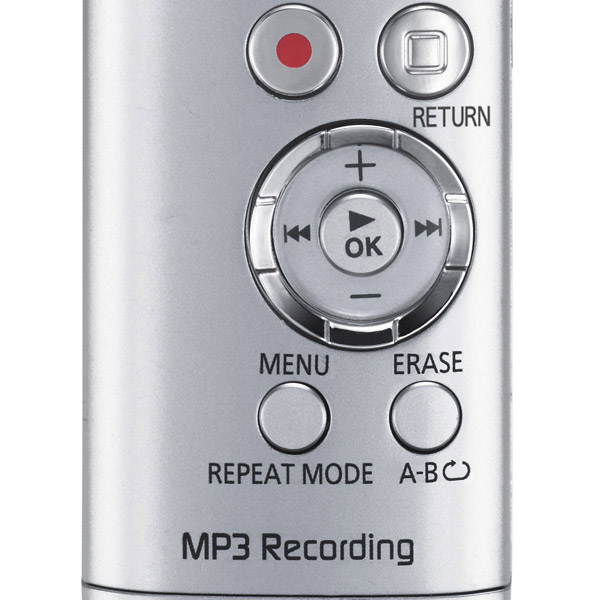 Диктофон цифровой Panasonic RR-US300EE-S