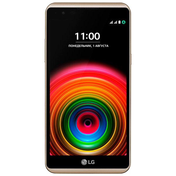 Смартфон LG X Power Gold (K220DS) фото