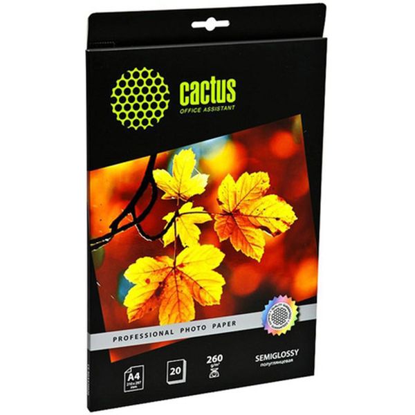 Фотобумага для принтера Cactus CS-SGA426020