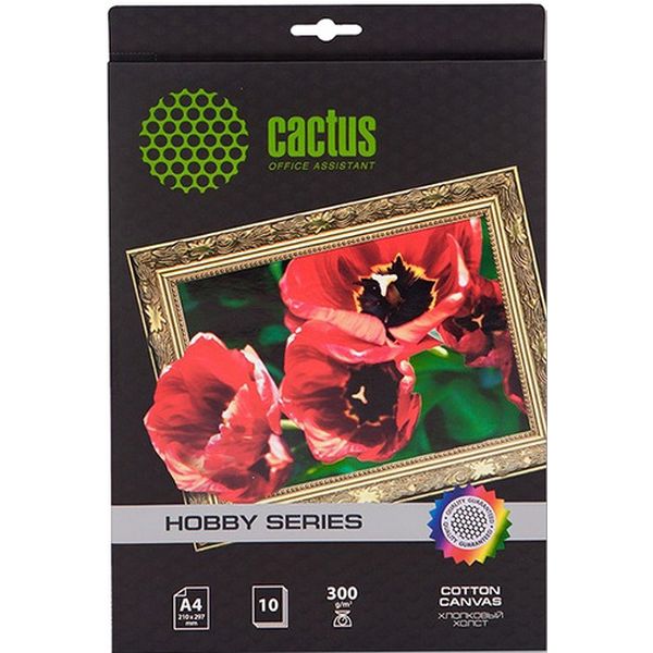 Фотобумага для принтера Cactus CS-CA426010
