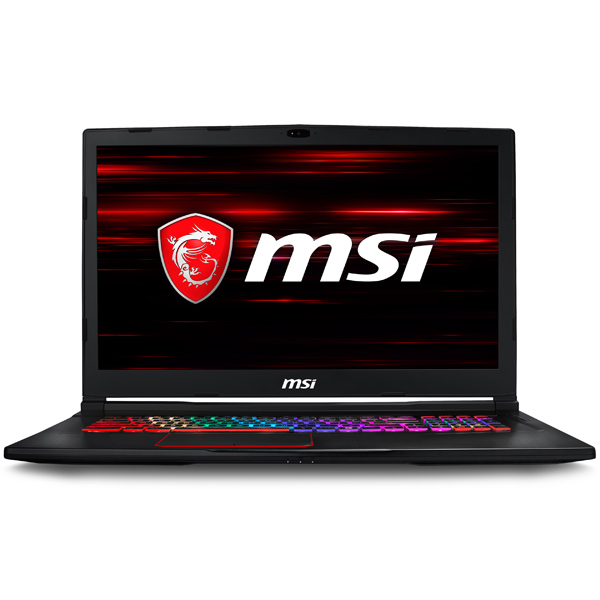 Ноутбук игровой MSI GE73 Raider RGB 8RF-095XRU