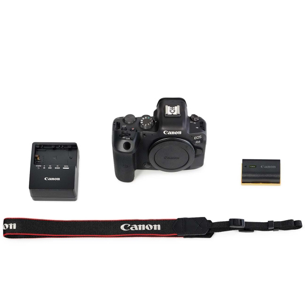 Фотоаппарат системный Canon EOS R6 Body