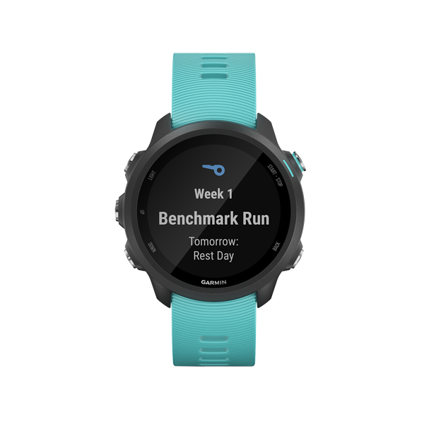 Спортивные часы Garmin Forerunner 245 Music GPS Black/морская волна