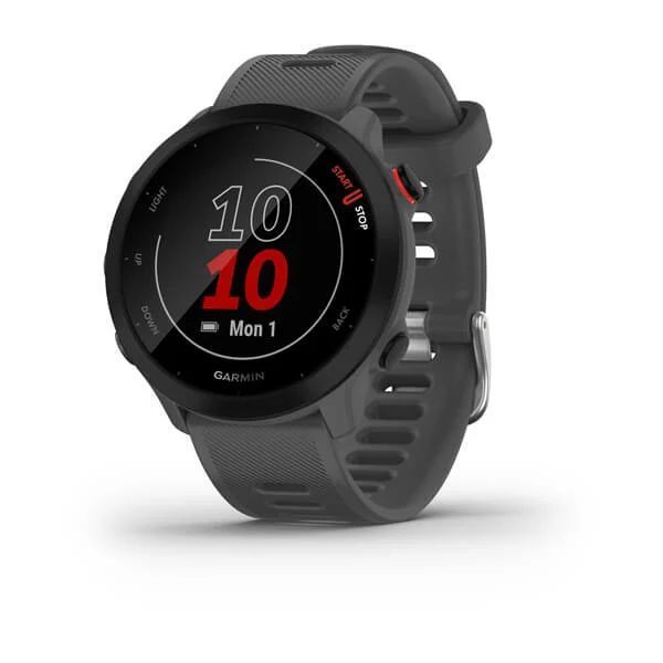 Спортивные часы Garmin Forerunner&nbsp;55&nbsp;42мм серые