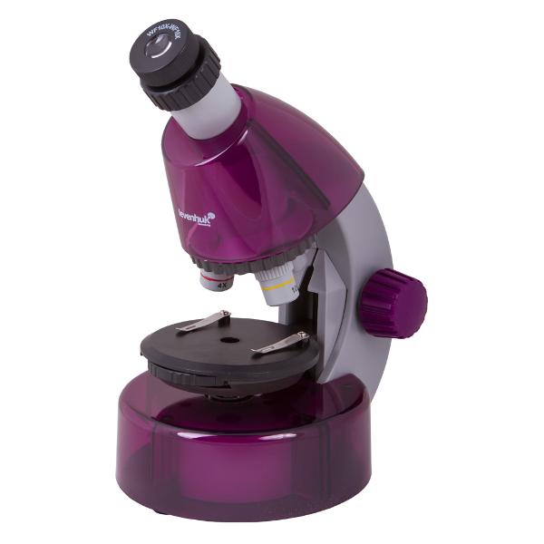 Микроскоп Levenhuk LabZZ M101 Amethyst (69033)