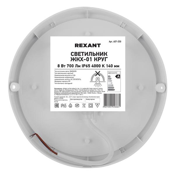 Светильник Rexant 607-250