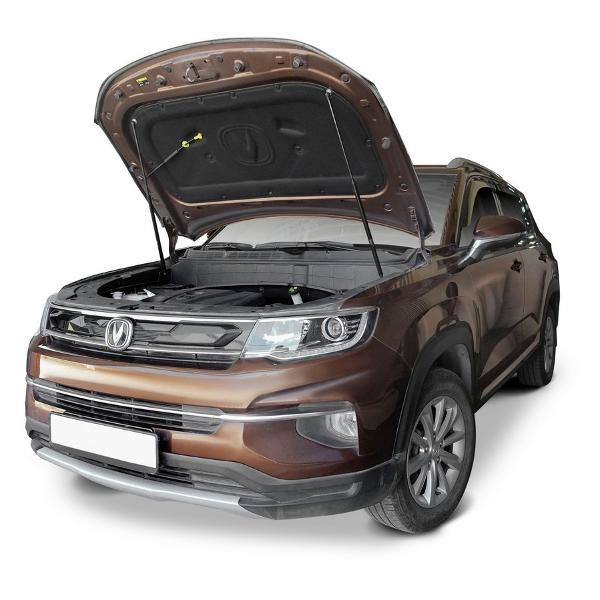 Амортизатор капота Rival A.ST.8903.1 газовые 2 шт.