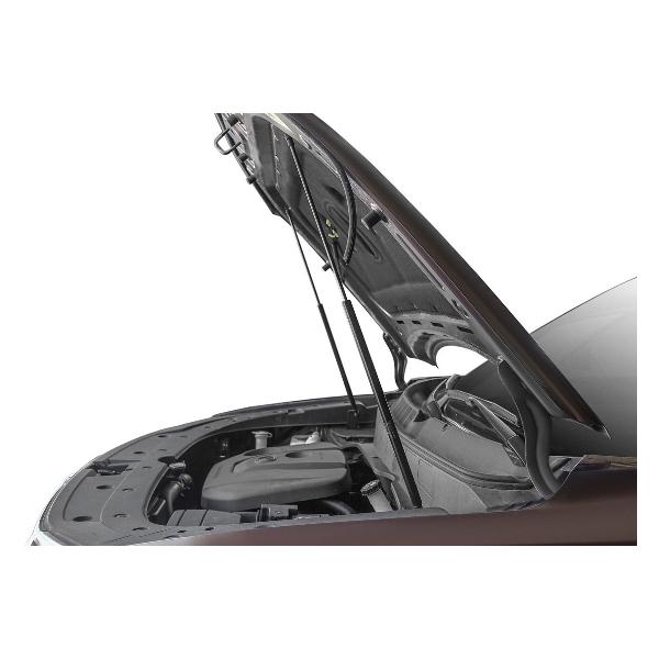 Амортизатор капота Rival A.ST.8903.1 газовые 2 шт.