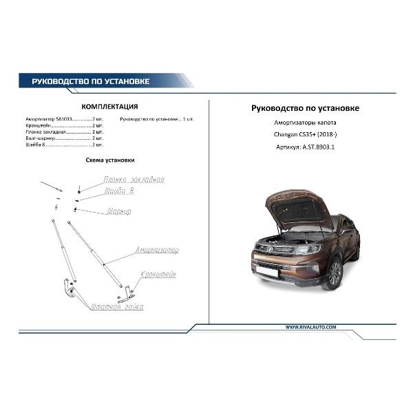 Амортизатор капота Rival A.ST.8903.1 газовые 2 шт.