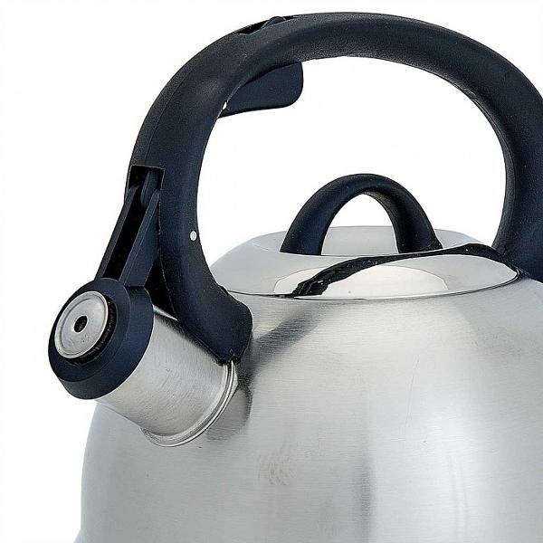 Чайник Webber BE-0554